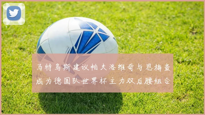马特乌斯建议帕夫洛维奇与恩梅查成为德国队世界杯主力双后腰组合